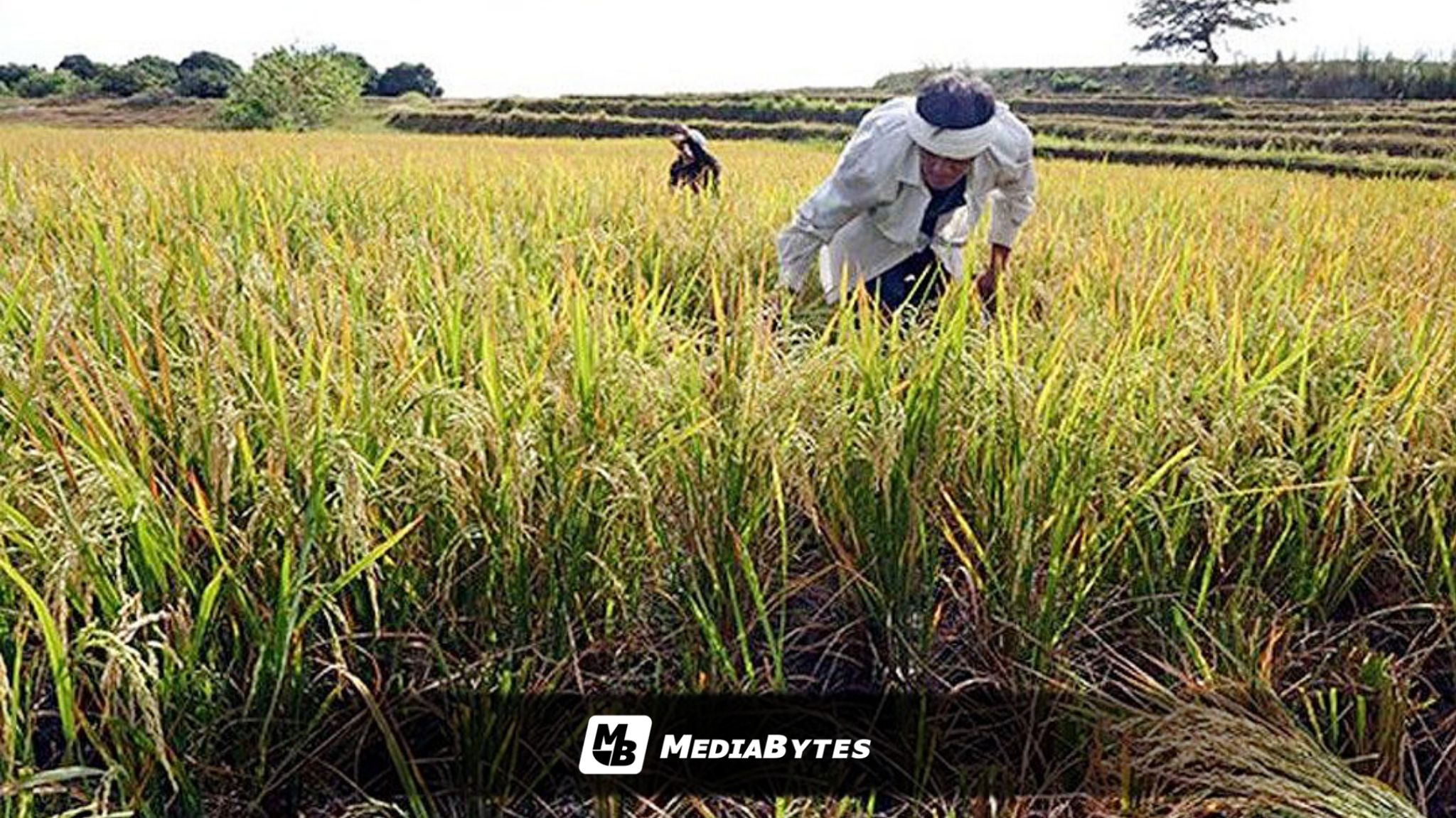 MARCOS ORDERS FULL IMPLEMENTATION OF SAGIP SAKA ACT UNDER EO 101