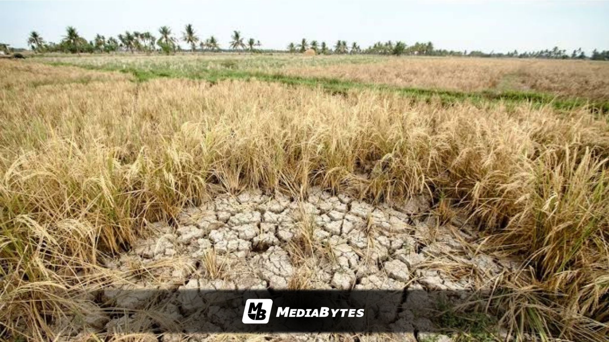 GOV’T RAMPS UP PREPARATIONS FOR STRONG EL NIÑO IMPACT