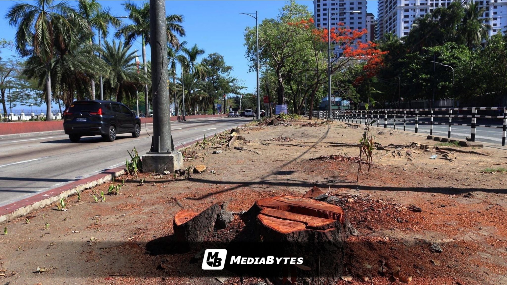 SMC DEFENDS SALEX ROAD DESIGN AMID TREE-REMOVAL CRITICISM