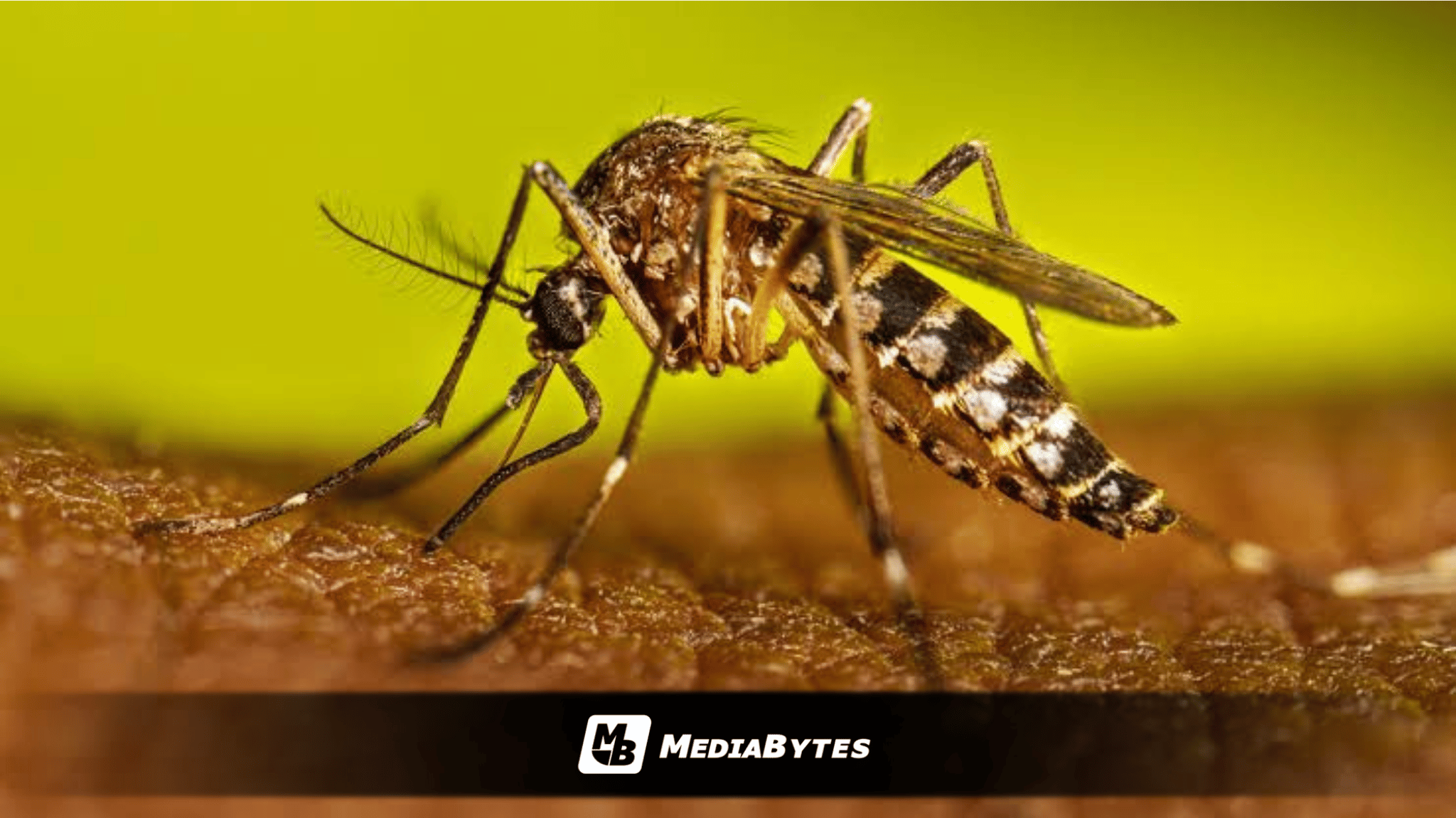 PH LOGS OVER 155,000 DENGUE CASES AS DOH WARNS OF RECENT SURGE